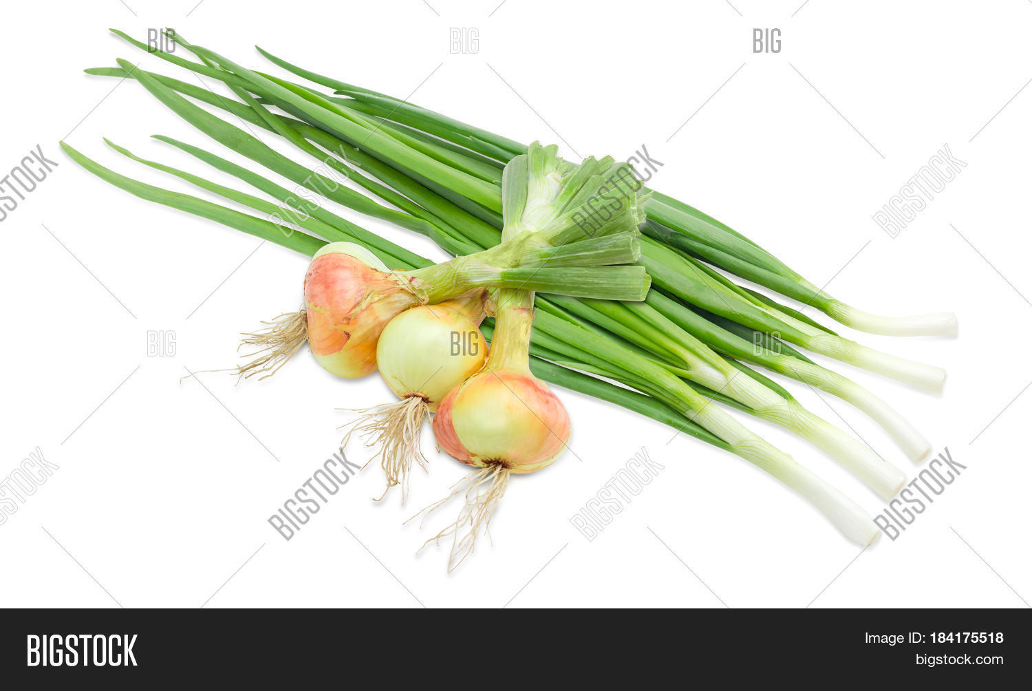 Bundle Peeled Green Onion Stalks Image & Photo Bigstock