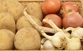 picture of yield  - potatoes onions and garlic on a white background - JPG 