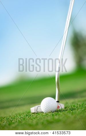 Picture or Photo of A golf club with golf ball on a golf course