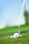 pic of golf  - A golf club with golf ball on a golf course - JPG 
