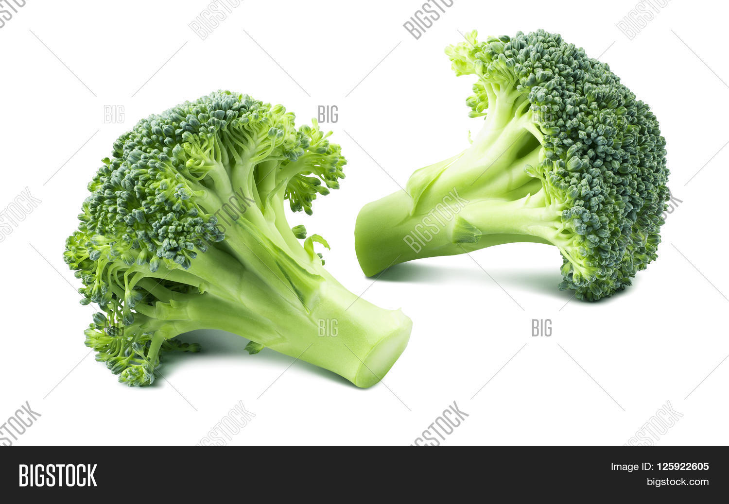 Double Broccoli Separate Isolated Image & Photo Bigstock