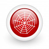 foto of web  - spider web red circle glossy web icon on white background - JPG 