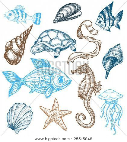 Рисовать морских Рисовать морских