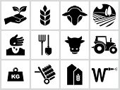 image of merge  - Agriculture and farming icons - JPG 