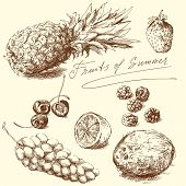 stock photo of illustration  - fruit  - JPG 