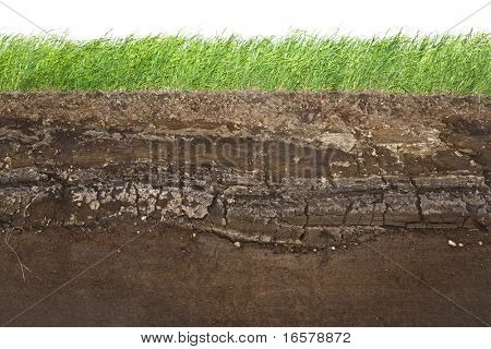 截面的绿草和地下土壤层下方