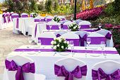 pic of outdoor  - outdoor tables with served plates and wine glasses in the garden - JPG 