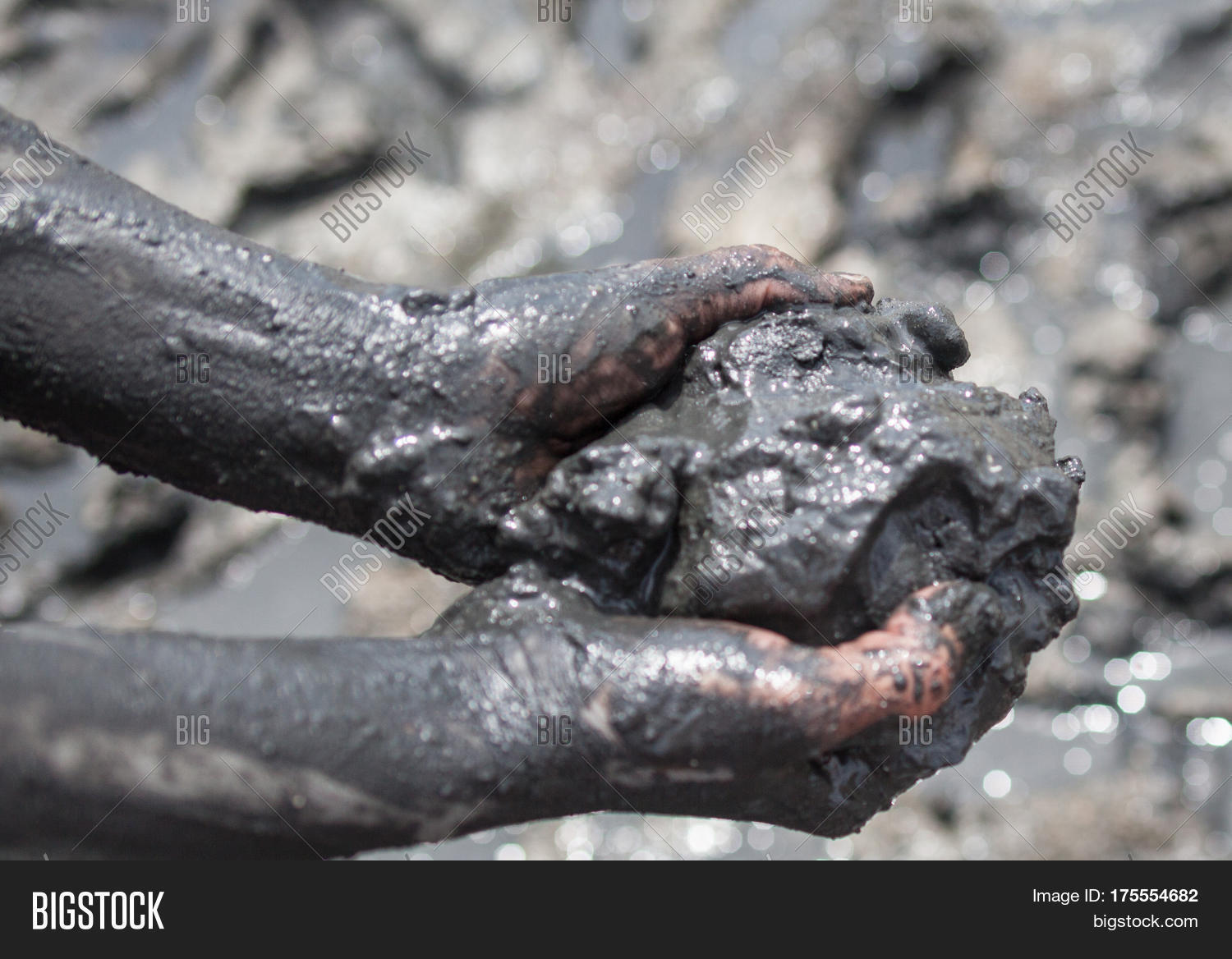 Handful Black Healing Mud. Hands Image & Photo Bigstock