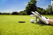 image of golf  - Golf club - JPG 