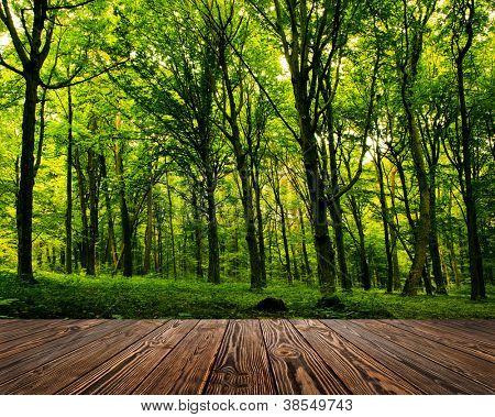 Picture or Photo of Wood textured backgrounds in a room interior on the forest backgrounds