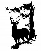 image of sports  - A buck or stag with a full rack of antlers profiled on a hill beneath an evergreen pine tree is a perfect emblem for hunting season or a sporting goods store - JPG 