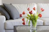 foto of interior  - vase of red tulips in modern white living room  - JPG 