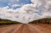 stock photo of blue sky  - rural dirt road and cloudscape - JPG 