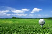 pic of golf  - Golf Ball On Tee - JPG 