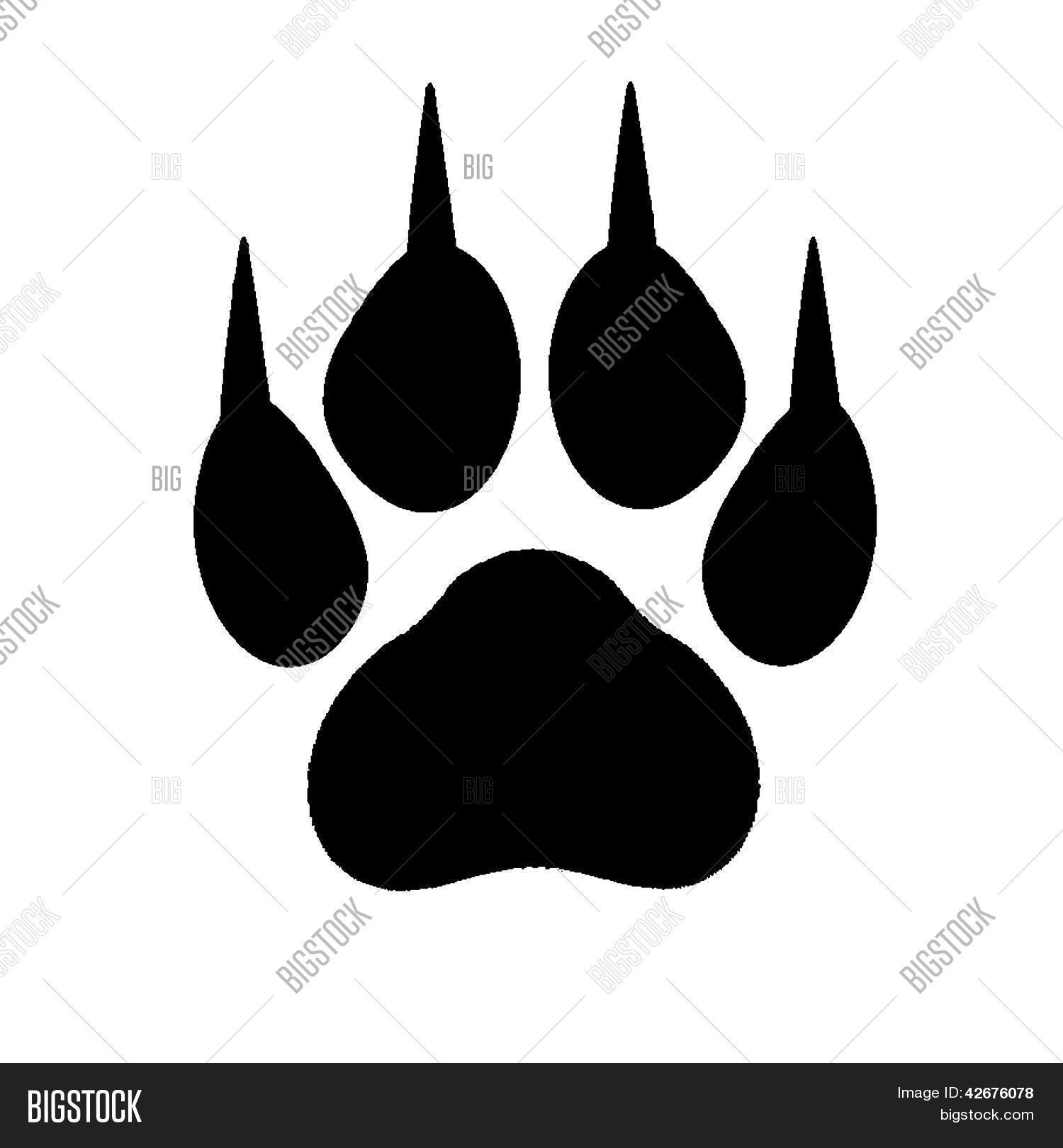 footprint of a cat Stock Photo & Stock Images Bigstock