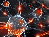 picture of illustration  - 3d rendering illustration of neurons - JPG 