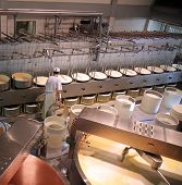 foto of food  - A dairy plant in Switzerland processing fresh milk into cheese - JPG 