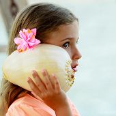 picture of beach  - Summer beach - JPG 