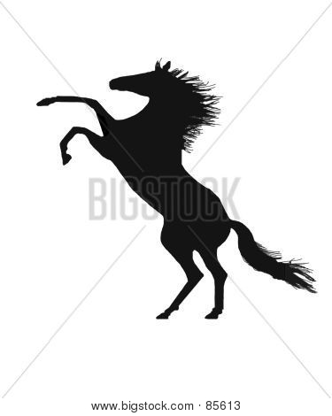 Stock Photo Free on Picture Royalty Free Stock Photo Image Crystalgraphics Com