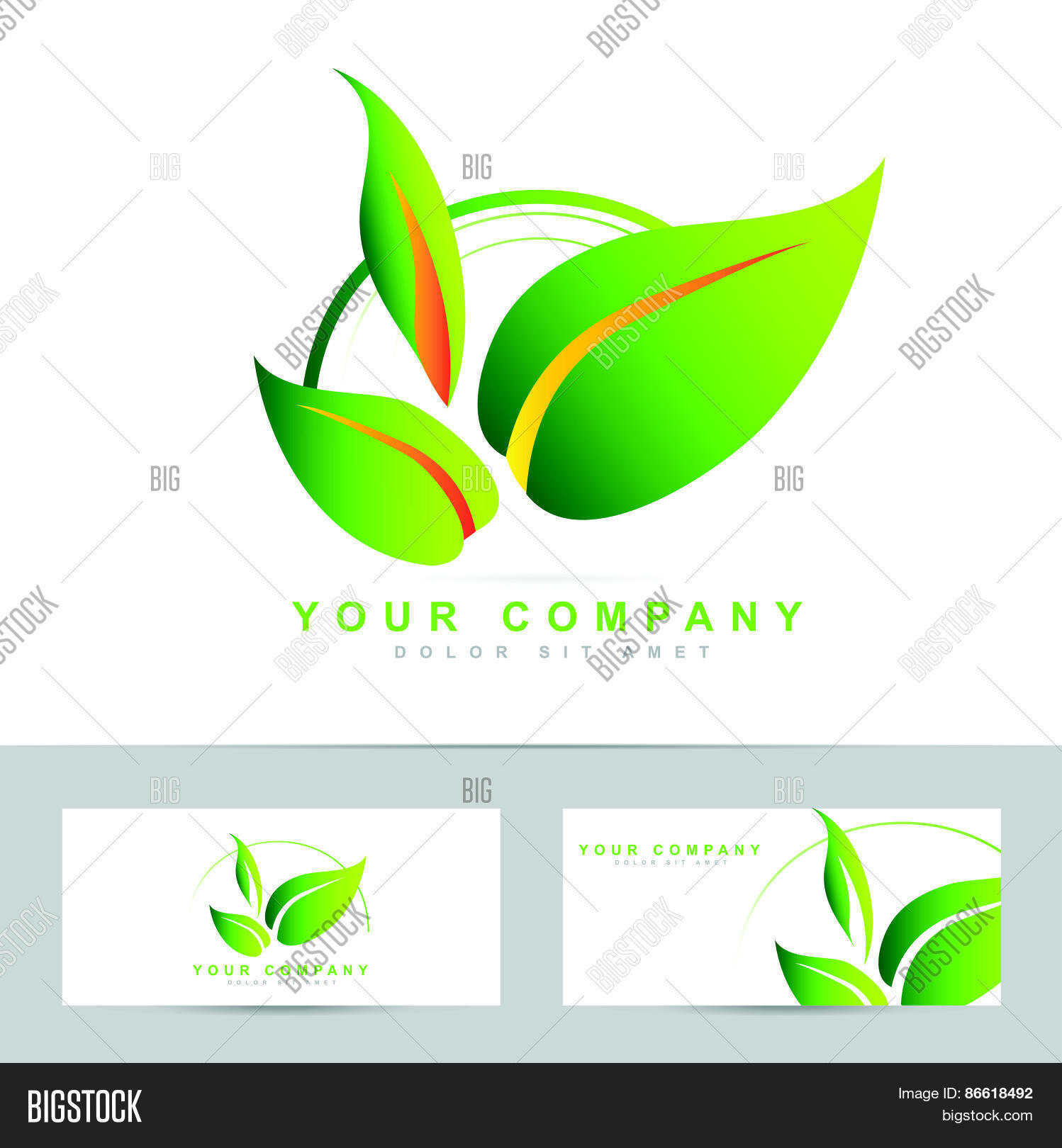 biology ecology design biology ecology design