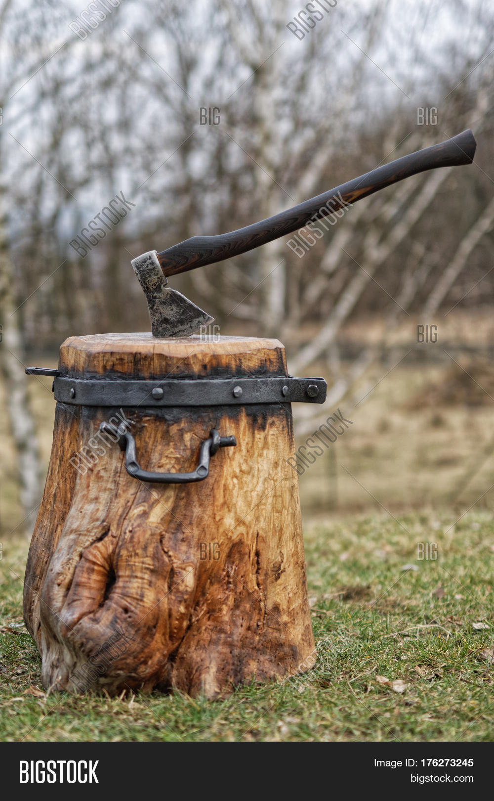 Chopping Block Splitting Wood Axe Image & Photo Bigstock