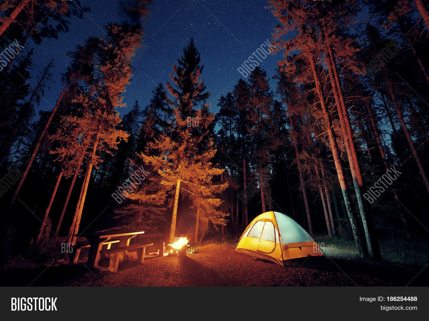 Camping Under Stars Bonfire Tent Image & Photo Bigstock