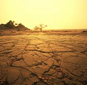 picture of surreal  - dry landscape - JPG 