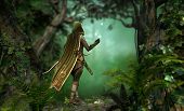 picture of pass  - a hunter in a hooded cape passes through the forest - JPG 