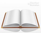 stock photo of dust wrapper  - open book with isolated on white - JPG 