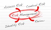picture of finance  - Risk management process diagram schema illustration design over white - JPG 