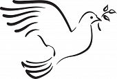 stock photo of religion  - Vector white dove with branch as freedom symbol - JPG 