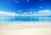 picture of beach  - sand of beach caribbean sea - JPG 
