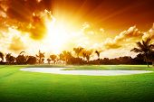 stock photo of golf  - sunset on golf field - JPG 