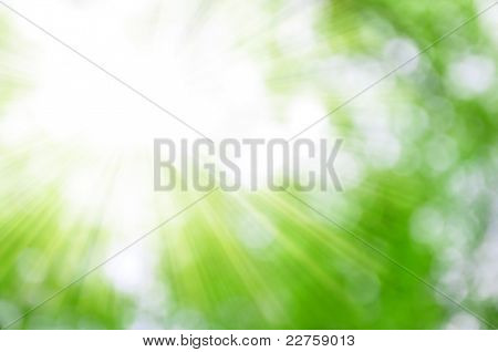 Picture or Photo of Natural background blurring with sun rays