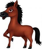 pic of horse  - Vector illustration of cute brown horse cartoon - JPG 