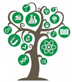 picture of science  - The tree of knowledge with the symbols of science and education in the branches - JPG 