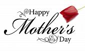 picture of mother  - Mothers Day Card with text rose and ornaments - JPG 