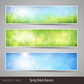pic of nature  - nature bokeh banners  - JPG 
