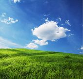 picture of blue sky  - Green grassland and sky for background - JPG 