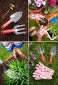 foto of woman  - Set of gardening images - JPG 