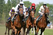 picture of horse  - horses and jockeys running fast on the race - JPG 