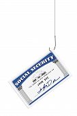 picture of security  - Social security card on a fishing hook and line - JPG 