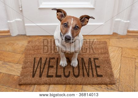 Picture or Photo of Dog welcome home on brown mat and door