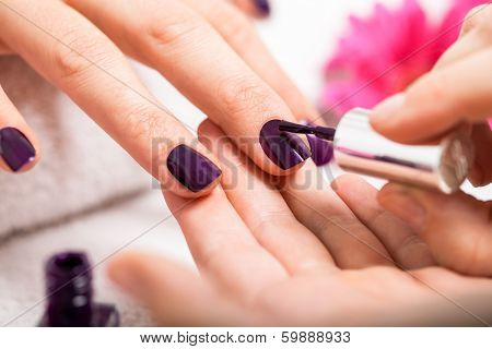 New nails студия ногтевого дизайна New nails студия ногтевого дизайна