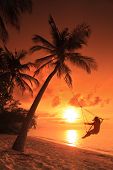 image of teeter  - A woman relaxing on a teeter with sunset in a background in Maldives island - JPG 