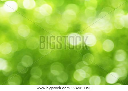 Picture or Photo of Natural green blurred background.