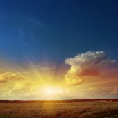stock photo of sunset  - Sunset sky with rays of light over field - JPG 