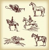 foto of horse  - Vector hand drawn race horses - JPG 
