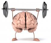 stock photo of brain  - Brain - JPG 