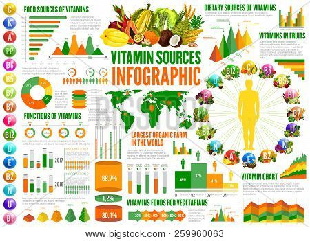 Vitamin Sources Infographics Nutrition Statistical Charts And Poster Of Vitamin Sources Infographics Nutrition Statistical Charts And Diagrams A B K Vitamins In Food F